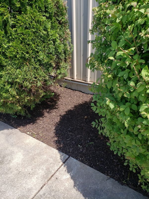 Landscaping