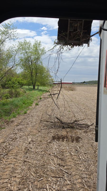 Forestry Mulching
