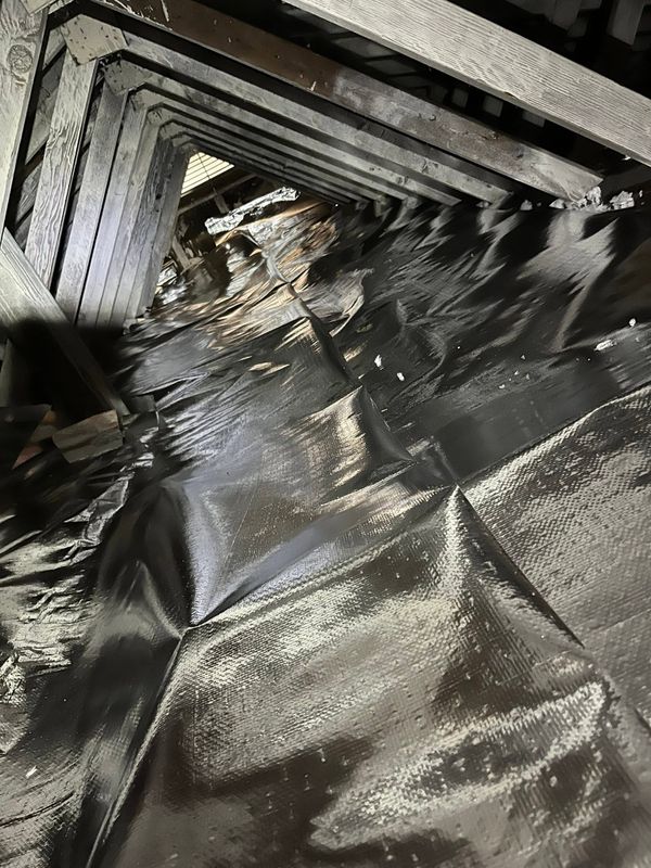 Insulation Services