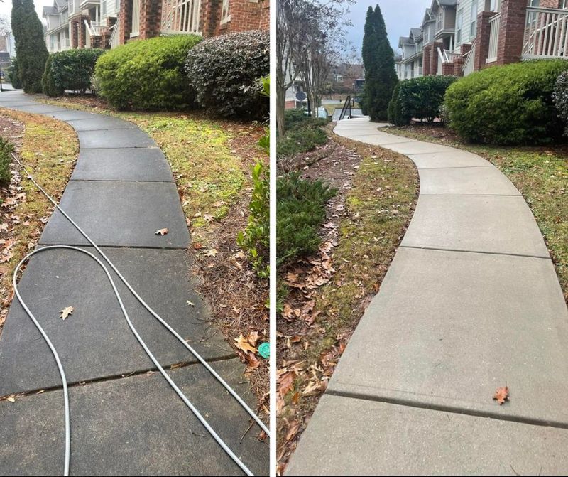 Driveway and Sidewalk Cleaning