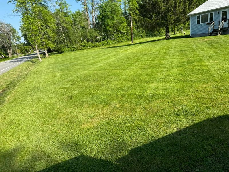 Lawn Maintenance