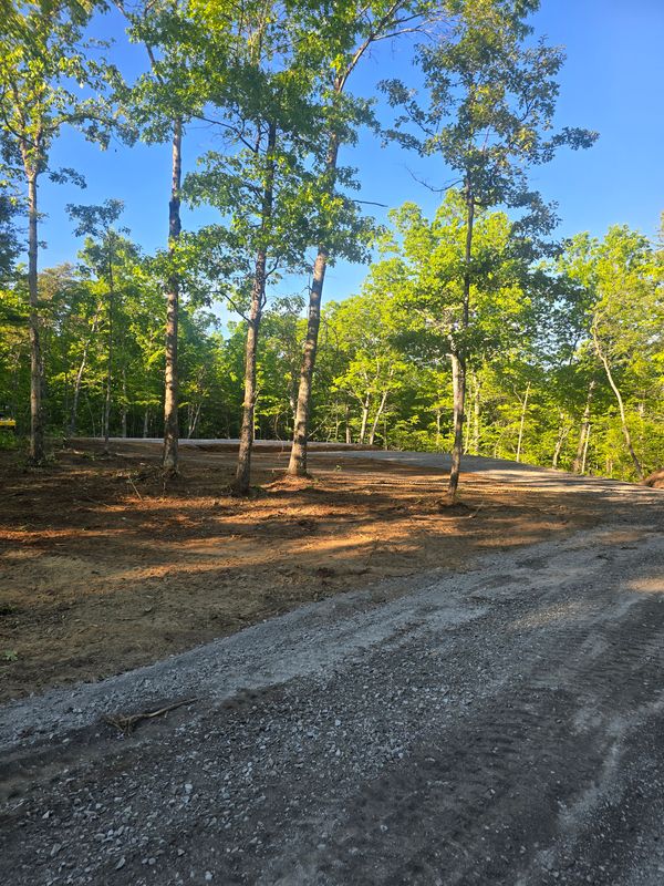 Land Clearing & Demolition