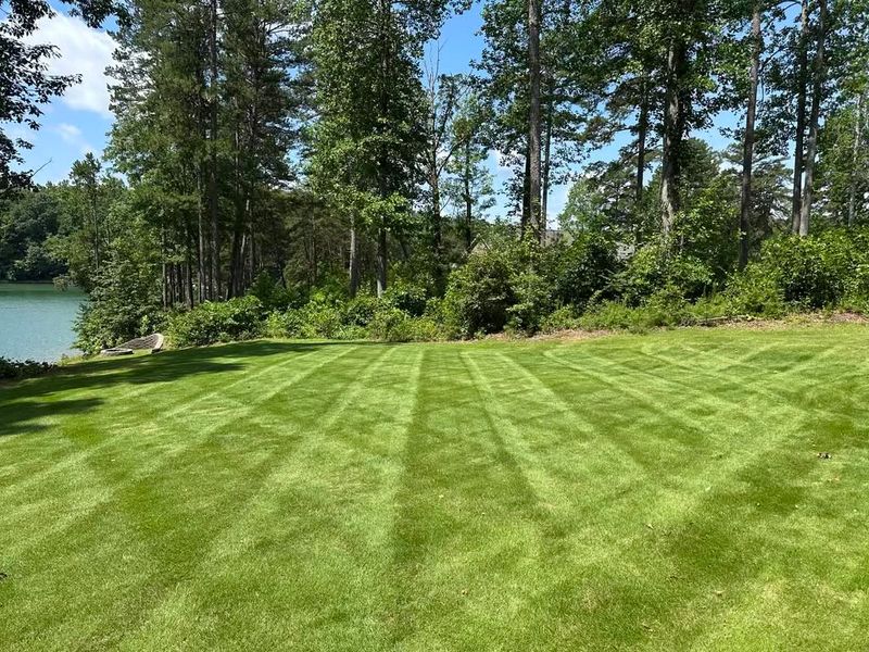 Full Service Lawn Maintenance