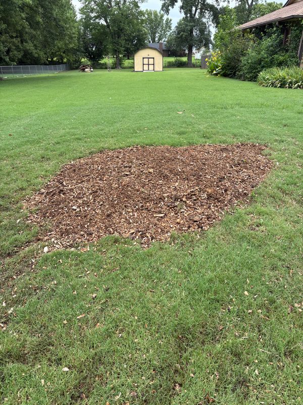 Stump Removal