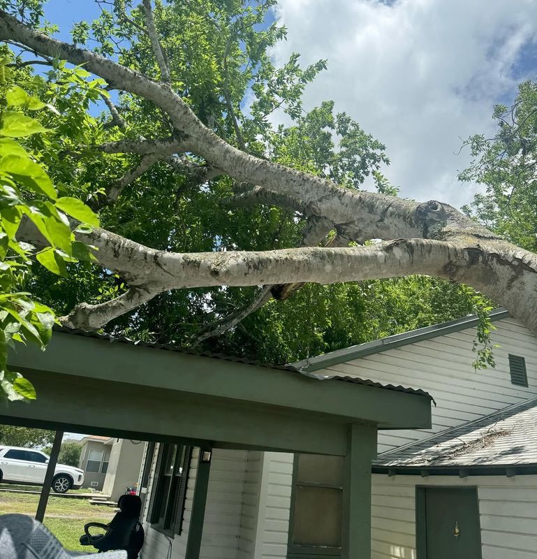 Pruning Services 