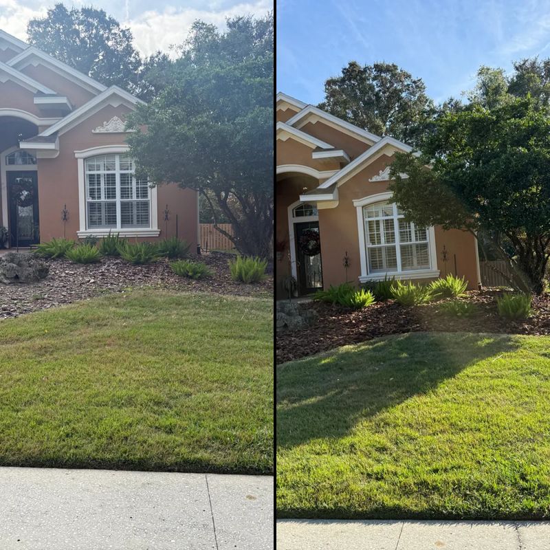 Mulch Installation