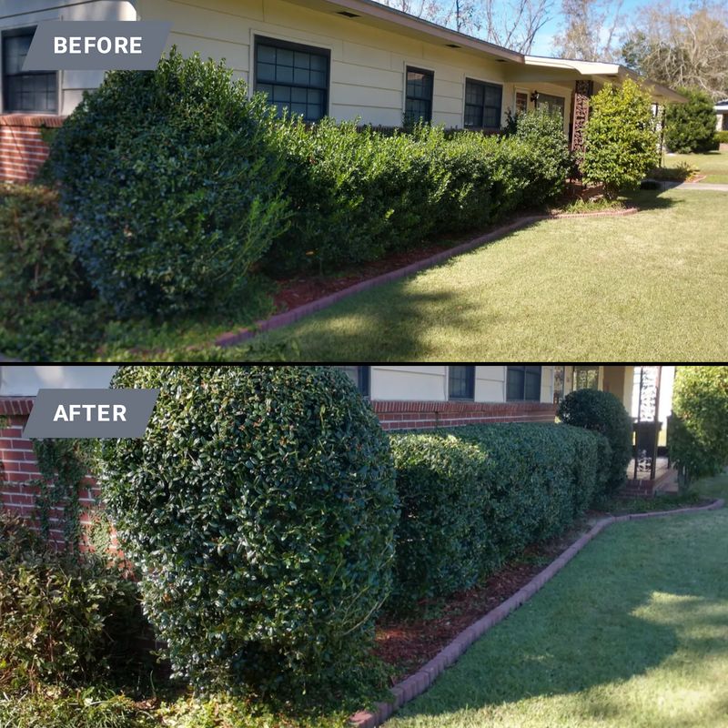 Shrub Trimming