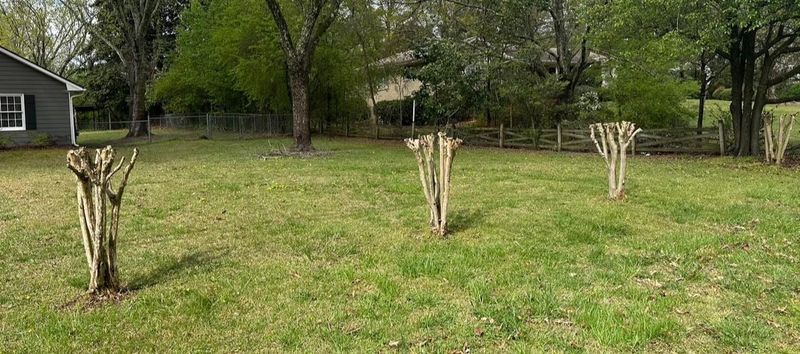 Land Clearing