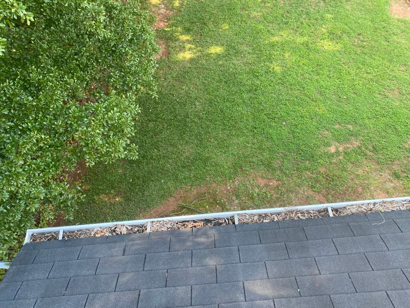 Gutter cleaning