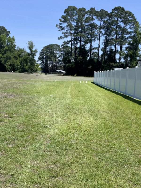 Lawn Maintenance