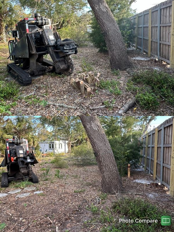 Stump Removal