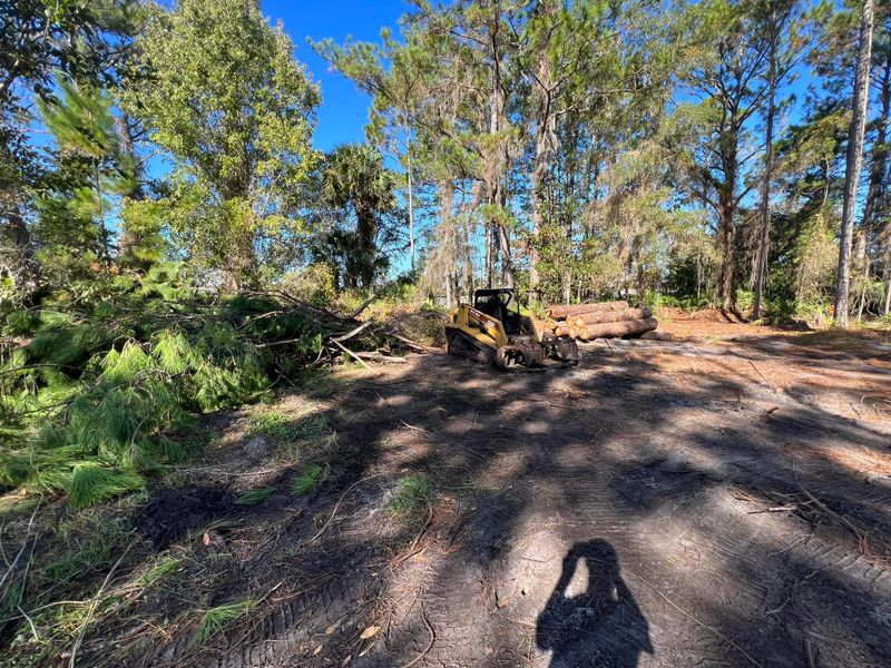 Tree Removal