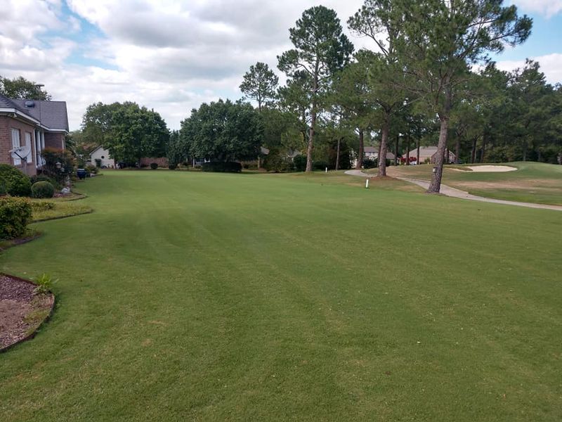 Turf Management