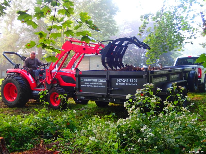 Downed Tree and Brush Cleanup gallery