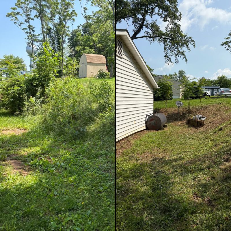 Land Clearing