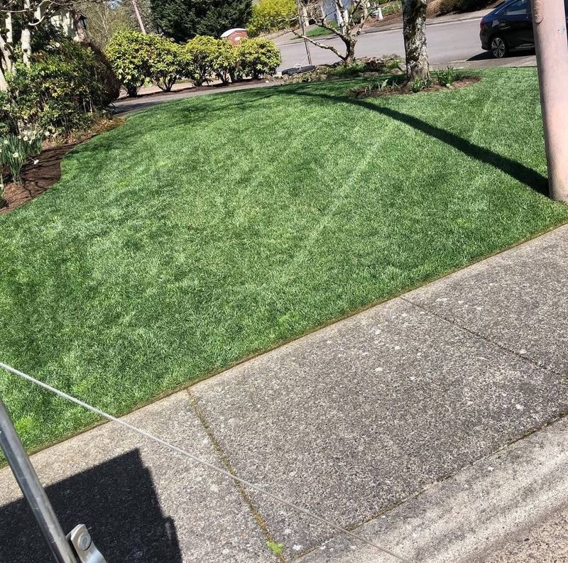 Lawn Care