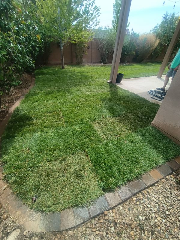 Residential Lawn Maintenance