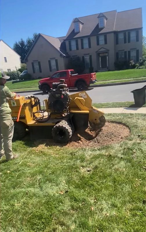 Tree & Shrub Care