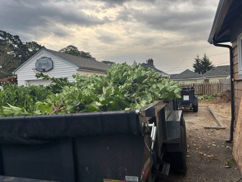 Trash Removal