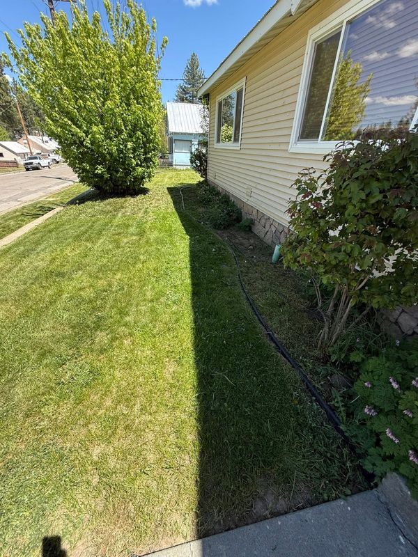 Landscape Design & Installation