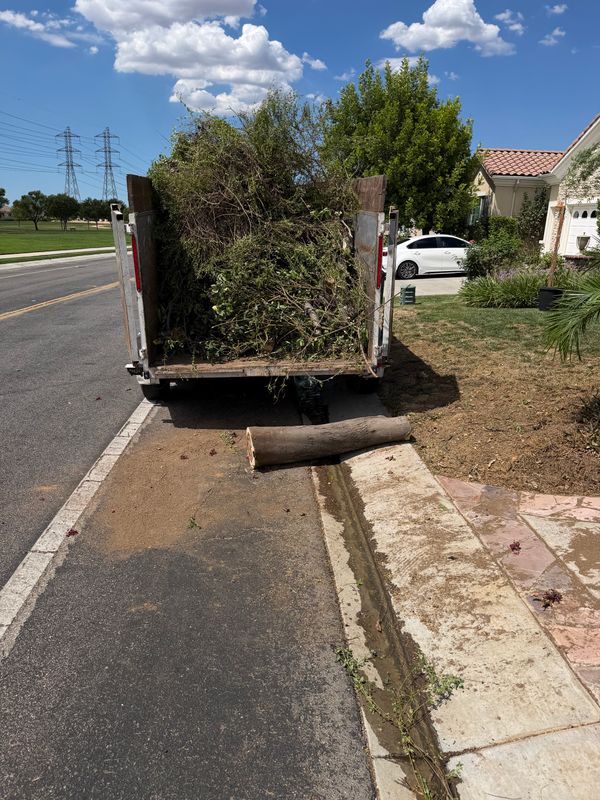 Fall Clean Up