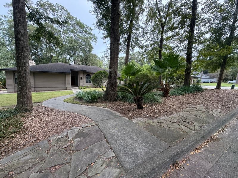 Landscape & Property Cleanup