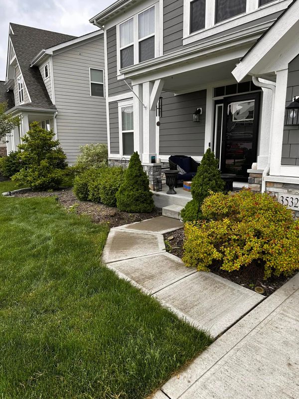Tree & Shrub Care