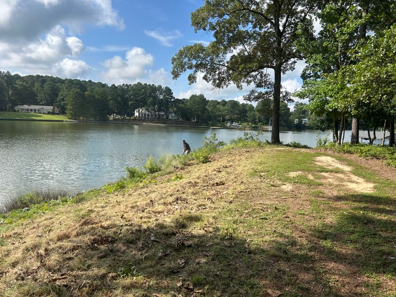River Bank Clearing  gallery