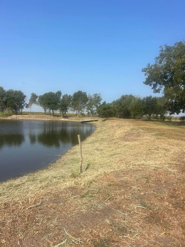 Land Clearing gallery