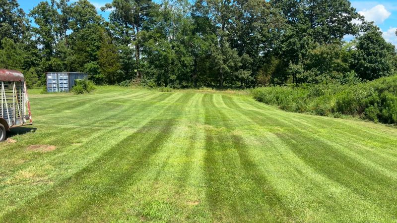 Sod Installation