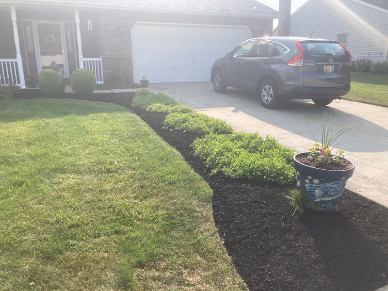 Landscape Design