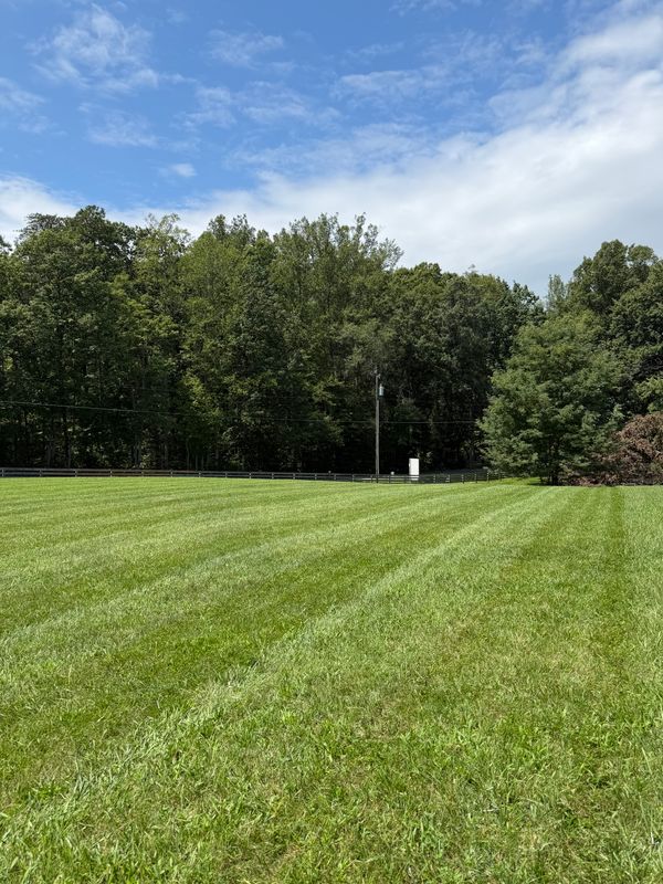 Lawn Maintenance