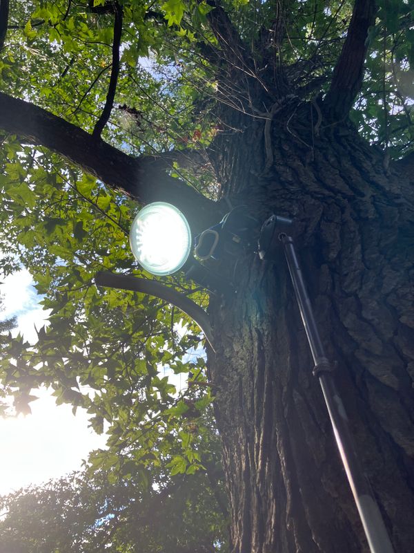 Lighting Installation and Repairs