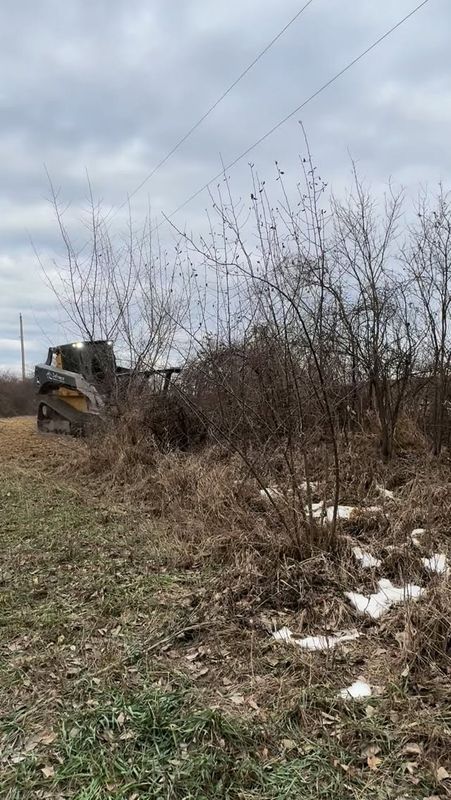 Tree Removal