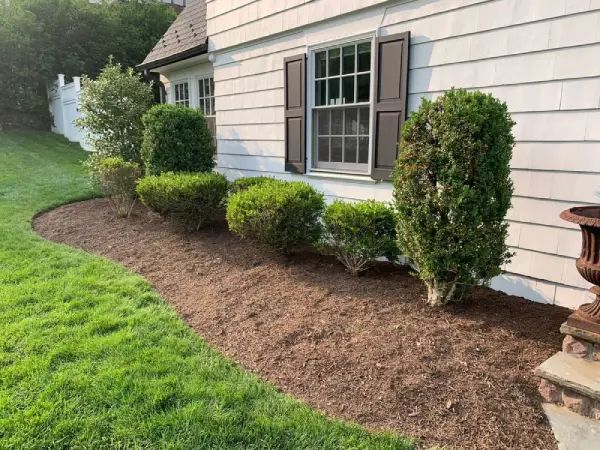 Flowerbed Pre-emergent with Herbicide treatments.