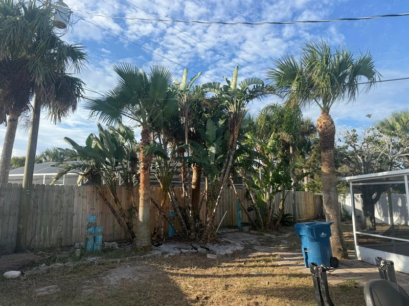 Tree Services