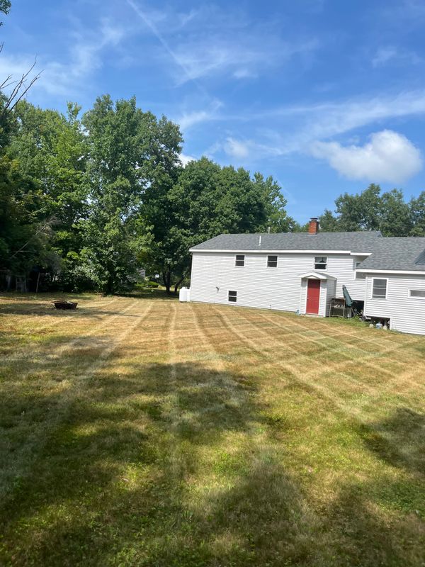 Lawn Maintenance
