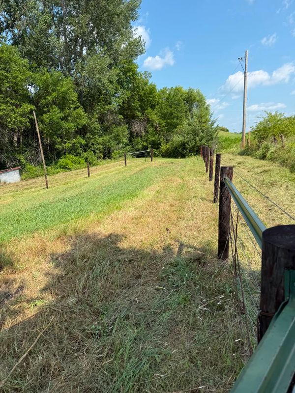 Fence Line Cleanup