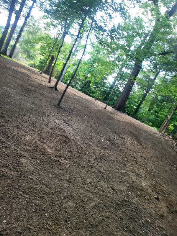 Land Clearing