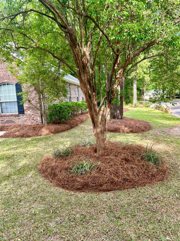 Landscape Bed Maintenance