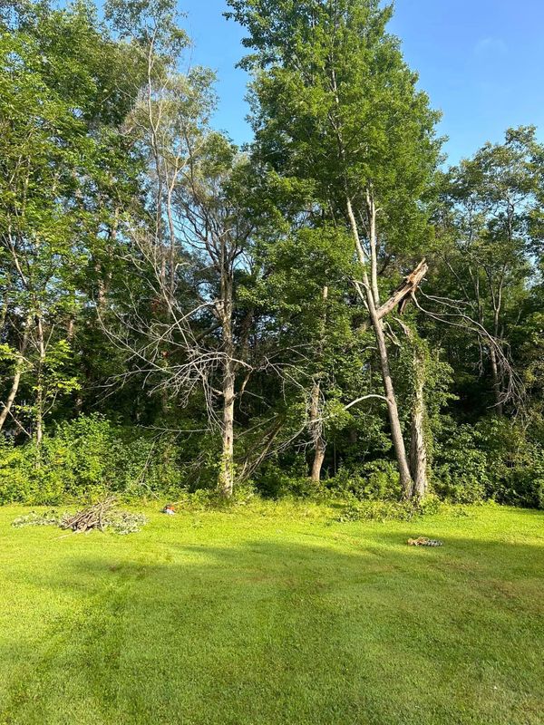 Landscaping 