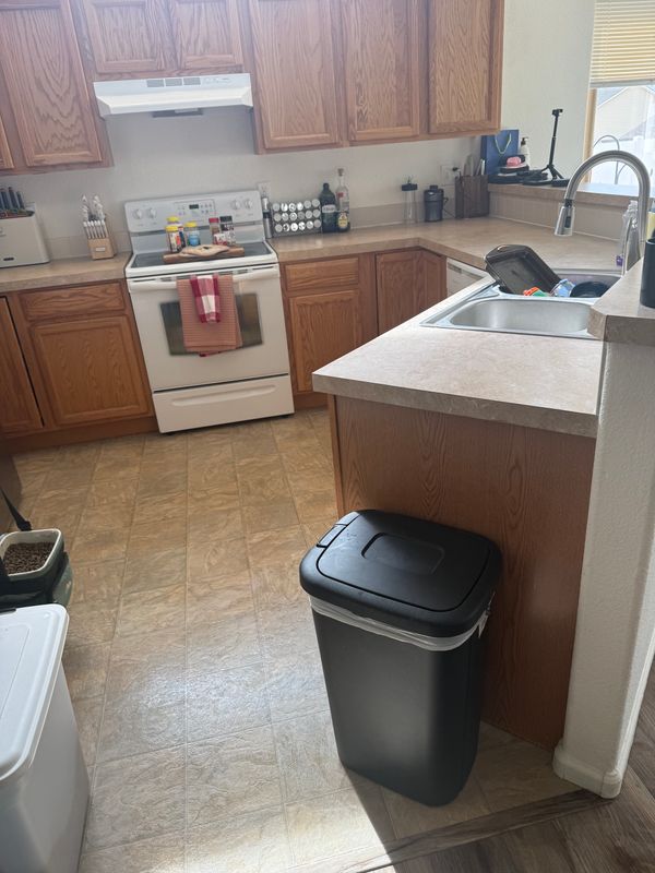 Kitchen Shine