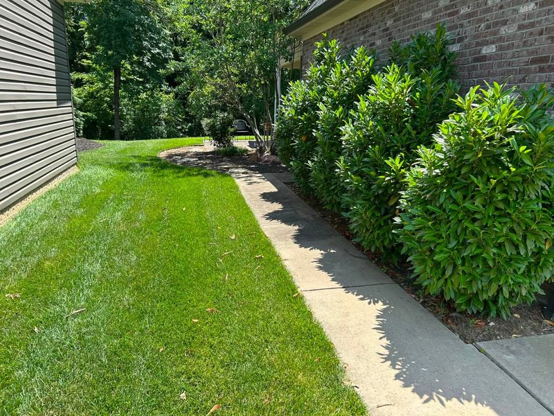 Landscape Maintenance