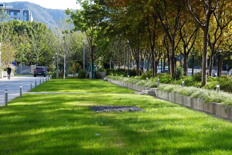 Commercial Landscaping