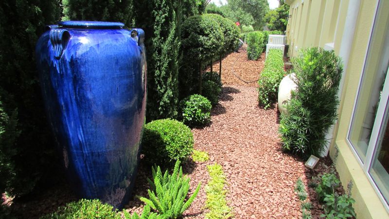 Tree & Shrub Care