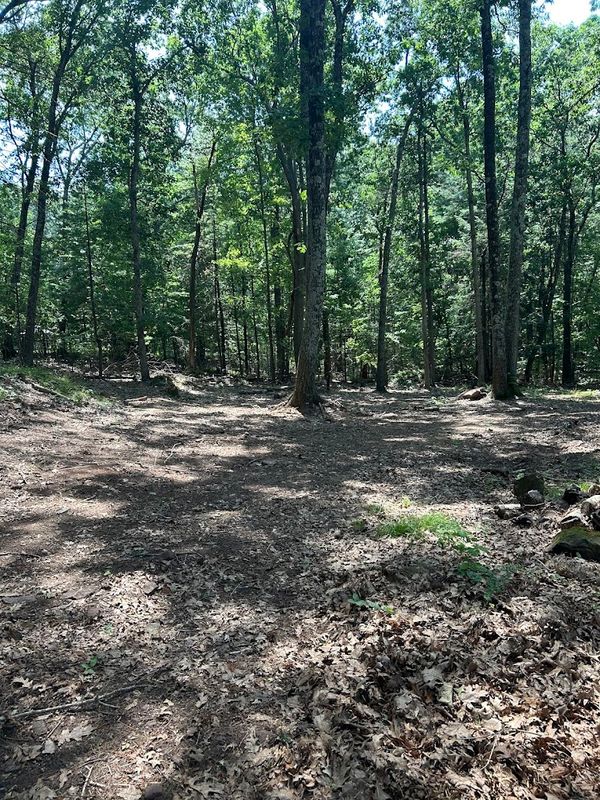 Land Management