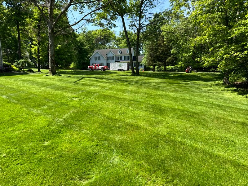 The Green Revival: Beautifying Hopewell Junction with Sustainable Lawn Transformation