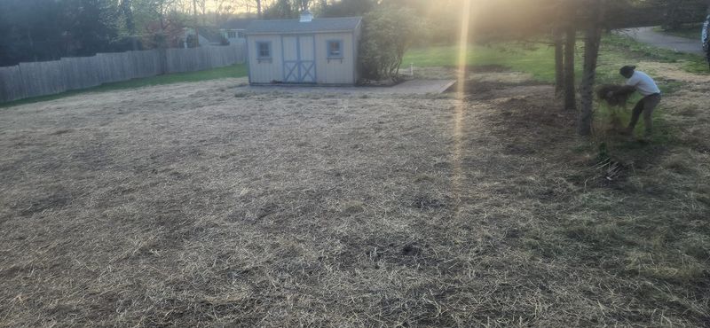 Landscaping & Hardscaping