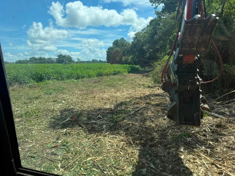 Land Clearing