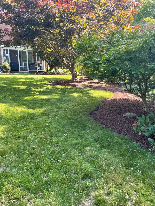 Lawn Maintenance